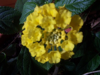 Bild 006.jpg