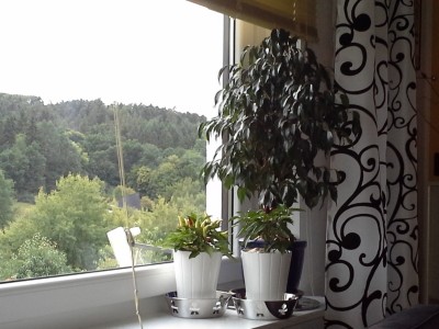 20130919_183226.jpg