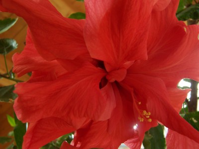 Bild 004.jpg