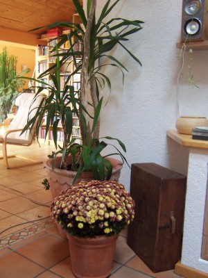 Bild 001.jpg