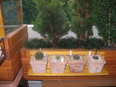 Balkon_130919_03.JPG