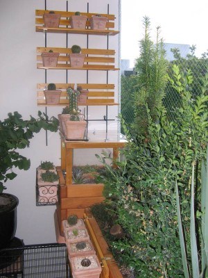 Balkon_130919_02.JPG