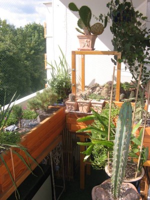Balkon_130919_01.JPG
