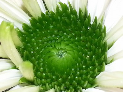 bilder im august hochgeladen 765 (1024x768).jpg