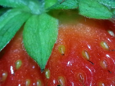 bilder im august hochgeladen 944 (1024x768).jpg