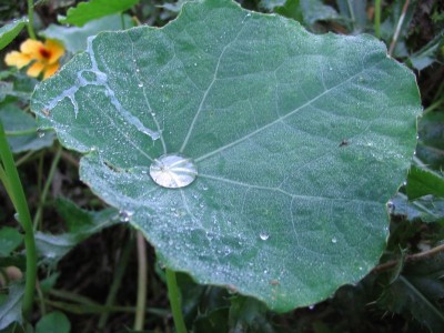 Bild 034.jpg
