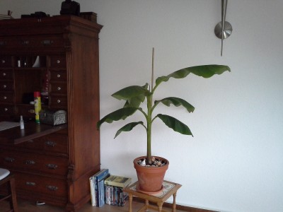 20130921_081727.jpg
