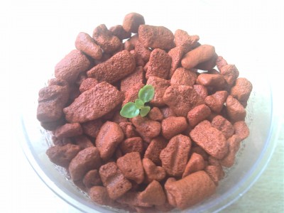 2013-09-21_09-45-52_417.jpg
