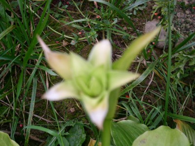 PICT0547.JPG