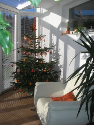 christbaum.JPG