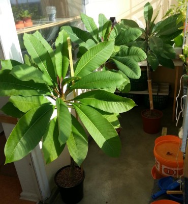20130928_153858.jpg