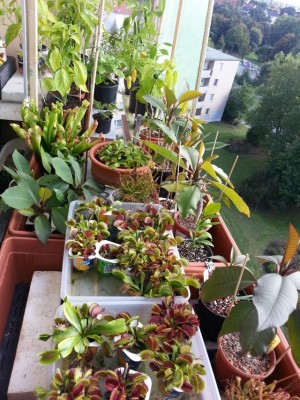 20130928_153120.jpg