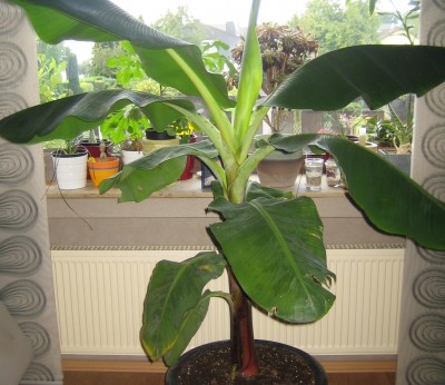 sommer 2013 174.jpg