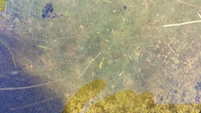 K1024_2013-09-29 14.57.39.JPG