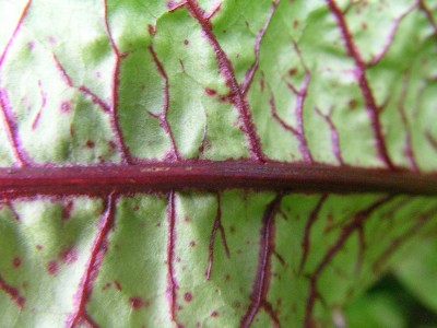 2012-09-28 17.51.57.jpg