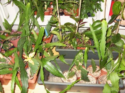 Photo1.jpg