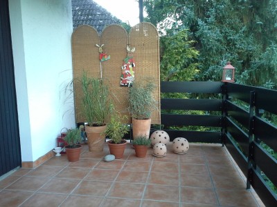 20131003_075234.jpg