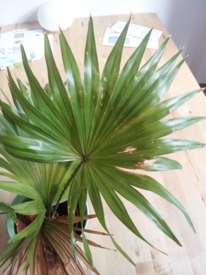 20131004_142822.jpg