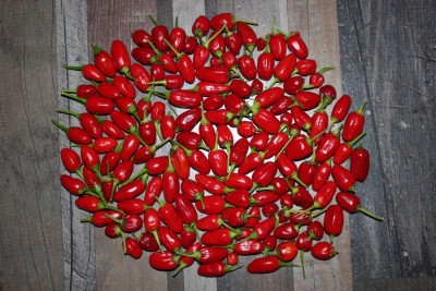 142 Paprika.jpg