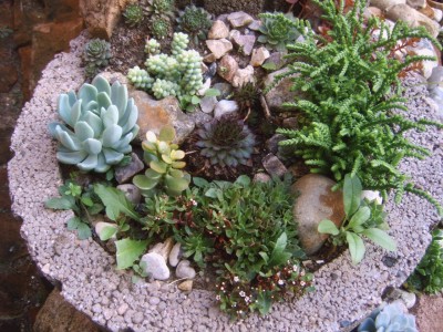 IMG00182.jpg