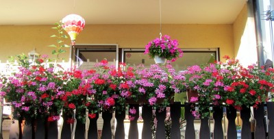 IMG_0074.JPG