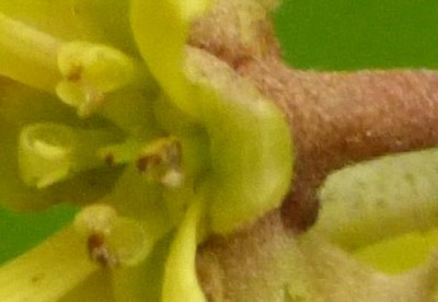 P1500821.jpg