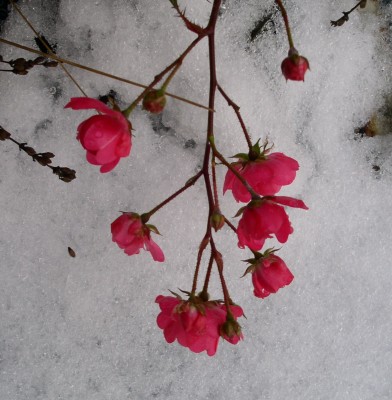 PICT0146.JPG