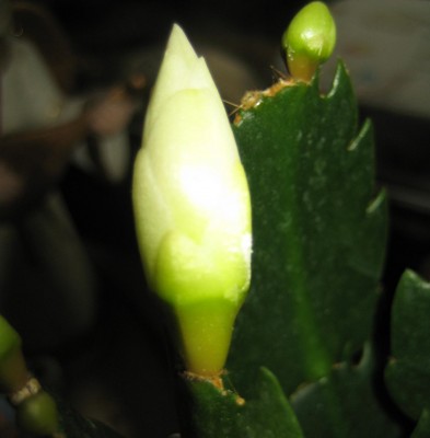 2013 Herbst 3 140.jpg