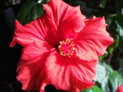 DSCF9875.JPG
