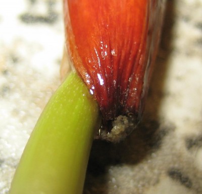 2013 Herbst 3 203.jpg