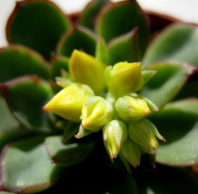 2013 Herbst 3 107.jpg