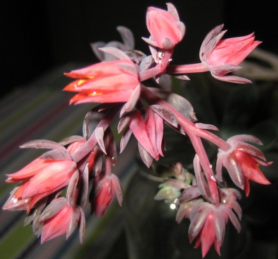 2013 Herbst 3 180.jpg