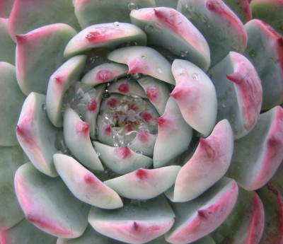 2013 Herbst 3 176.jpg