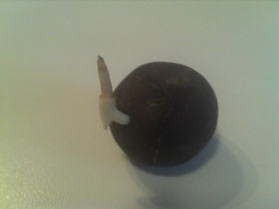 16.10.13 Wurzel (4).jpg