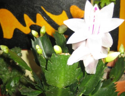 2013 Herbst 3 208.jpg