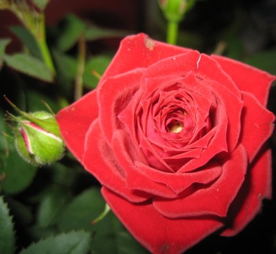 2013 Herbst 3 139.jpg