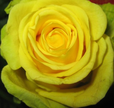 2013 Herbst 3 143.jpg