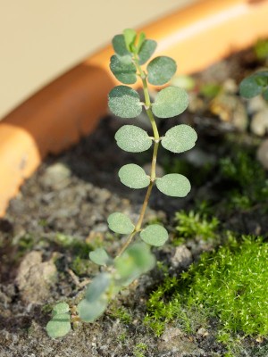 131013_unbekannte_gesamt_1.jpg