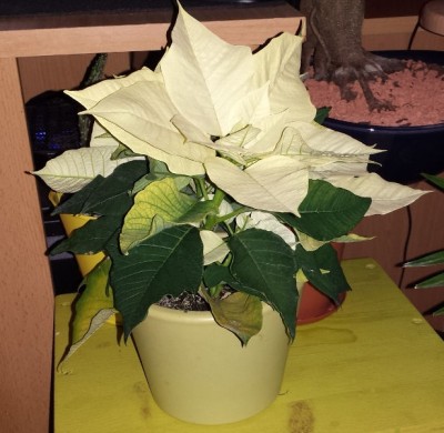 20131017_195500.jpg