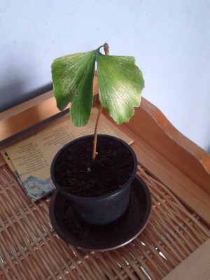 2013-10-24 10.59.44.jpg