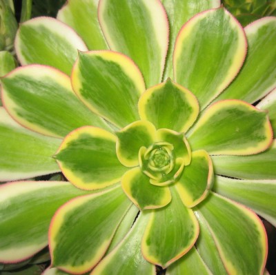 2013 Herbst 3 25207.jpg