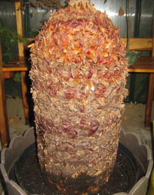 2013 Herbst 3 25231.jpg