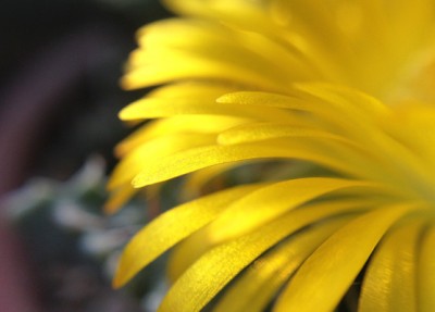 IMG_2250web.jpg
