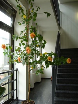 P1000423.JPG