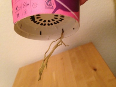 Foto 3.JPG