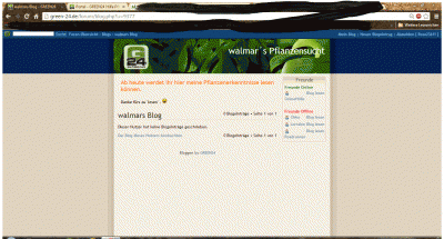 walmars blog.gif