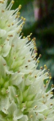 Ratesel04 - Kopie.jpg