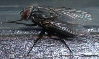 CIMG1596.JPG