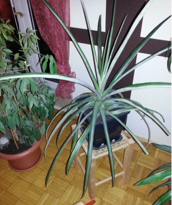20131103_190719.jpg