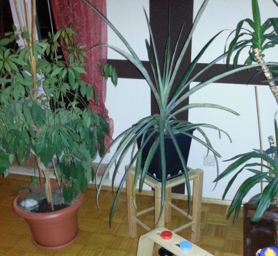 20131103_190731.jpg